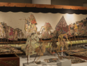 set-dalang